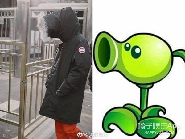 娱乐吃瓜君大嘴猴  第3张